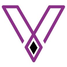 VROOM team logo